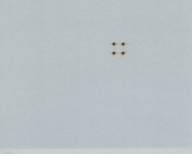 wwwHistory 550 www Vier