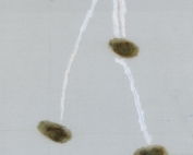 wwwHistory 562-EcceHomo-A4-2025